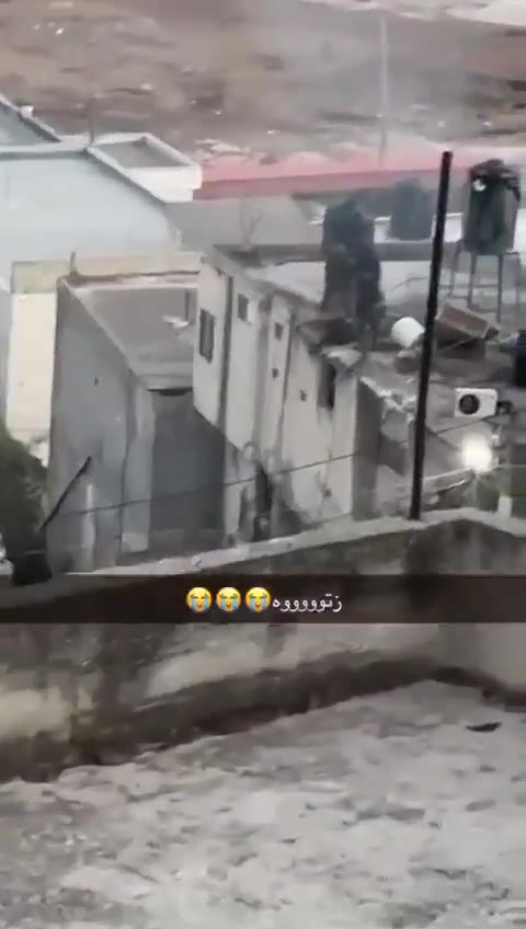 Video ID 1837564591762543039