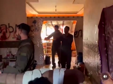 Video ID 1911788584723505521